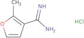 2-Methylfuran-3-carboximidamide hydrochloride