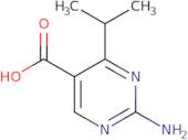 2-Amino-4-isopropylpyrimidine-5-carboxylic acid