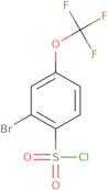2-Bromo-4-(trifluoromethoxy)benzene-1-sulfonyl chloride
