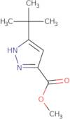 Methyl 3-tert-butyl-1H-pyrazole-5-carboxylate