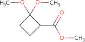 Methyl 2,2-dimethoxycyclobutane-1-carboxylate