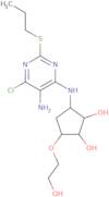 (1S,2S,3R,5S)-3-((5-Amino-6-chloro-2-(propylthio)pyrimidin-4-yl)amino)-5-(2-hydroxyethoxy)cyclopen…