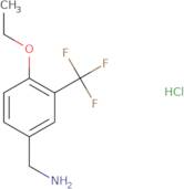 [4-Ethoxy-3-(trifluoromethyl)phenyl]methanamine hydrochloride