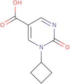 1-Cyclobutyl-2-oxo-1,2-dihydropyrimidine-5-carboxylic acid