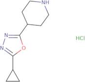 2-Cyclopropyl-5-piperidin-4-yl-1,3,4-oxadiazole hydrochloride