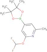 2-(Difluoromethoxy)-6-methyl-4-(4,4,5,5-tetramethyl-1,3,2-dioxaborolan-2-yl)pyridine