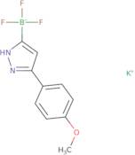 Potassium trifluoro(3-(4-methoxyphenyl)-1H-pyrazol-5-yl)borate