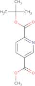 2-tert-Butyl 5-methyl pyridine-2,5-dicarboxylate