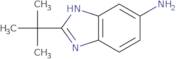 2-tert-Butyl-1H-benzoimidazol-5-ylamine