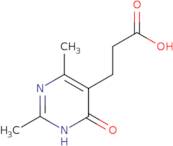 3-(2,4-Dimethyl-6-oxo-1,6-dihydropyrimidin-5-yl)propanoic acid