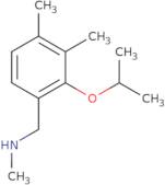 1-(2-Isopropoxy-3,4-dimethylphenyl)-N-methylmethanamine