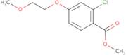 Methyl 2-chloro-4-(2-methoxyethoxy)benzoate