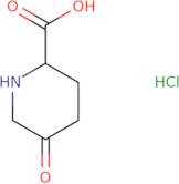 (2R)-5-Oxo-piperidine-2-carboxylic acid hydrochloride