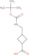 cyclobutanecarboxylic acid, 3-[[[(1,1-dimethylethoxy)carbonyl]amino]methyl]-, cis-