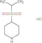 4-(Propane-2-sulfonyl)piperidine hydrochloride