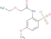 2-(2-Ethoxyacetamido)-4-methoxybenzene-1-sulfonyl chloride