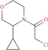 2-Chloro-1-(3-cyclopropylmorpholin-4-yl)ethan-1-one