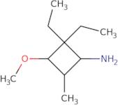 2,2-Diethyl-3-methoxy-4-methylcyclobutan-1-amine