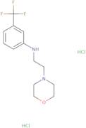 N-[2-(Morpholin-4-yl)ethyl]-3-(trifluoromethyl)aniline dihydrochloride