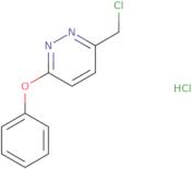 3-(Chloromethyl)-6-phenoxypyridazine hydrochloride