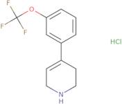 4-[3-(Trifluoromethoxy)phenyl]-1,2,3,6-tetrahydropyridine hydrochloride