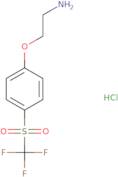 1-(2-Aminoethoxy)-4-trifluoromethanesulfonylbenzene hydrochloride