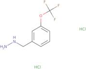 3-Trifluoromethoxybenzylhydrazine dihydrochloride