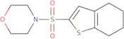 4-(4,5,6,7-Tetrahydro-1-benzothien-2-ylsulfonyl)morpholine