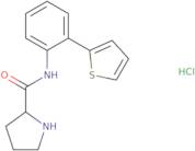 N-(2-Thiophen-2-ylphenyl)pyrrolidine-2-carboxamide hydrochloride