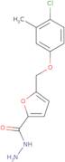 5-(4-Chloro-3-methyl-phenoxymethyl)-furan-2-carboxylic acid hydrazide