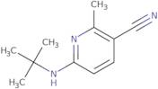 5-(tert-Butyl)-2-(pyridin-4-yl)furan-3-amine