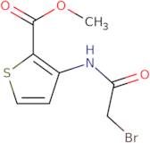 Methyl 3-[(2-bromoacetyl)amino]thiophene-2-carboxylate