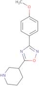 3-(4-Methoxyphenyl)-5-(piperidin-3-yl)-1,2,4-oxadiazole