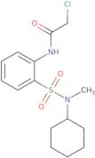 2-Chloro-N-{2-[cyclohexyl(methyl)sulfamoyl]phenyl}acetamide