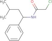 2-Chloro-N-(3-methyl-1-phenylbutyl)acetamide