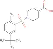 1-(5-tert-Butyl-2-methylbenzenesulfonyl)piperidine-4-carboxylic acid