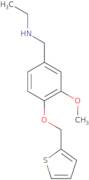 Ethyl({[3-methoxy-4-(thiophen-2-ylmethoxy)phenyl]methyl})amine