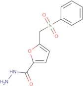 5-[(Benzenesulfonyl)methyl]furan-2-carbohydrazide