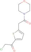 2-Chloro-1-{5-[2-(morpholin-4-yl)-2-oxoethyl]thiophen-2-yl}ethan-1-one