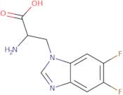 2-Amino-3-(5,6-difluoro-1H-1,3-benzodiazol-1-yl)propanoic acid