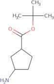 tert-Butyl 3-aminocyclopentane-1-carboxylate