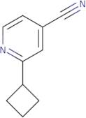 2-Cyclobutylisonicotinonitrile