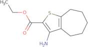 Ethyl 3-amino-5,6,7,8-tetrahydro-4H-cyclohepta[b]thiophene-2-carboxylate