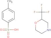 2-(Trifluoromethyl)morpholine 4-methylbenzenesulfonate