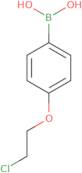 4-(2-Chloroethoxy)phenylboronic acid