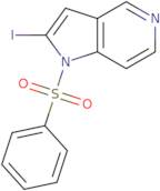 2-Iodo-1-(phenylsulfonyl)-1H-pyrrolo[3,2-c]pyridine