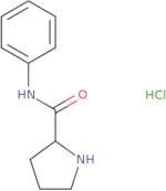 (2R)-N-Phenylpyrrolidine-2-carboxamide hydrochloride