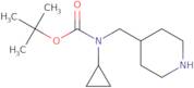 Cyclopropyl-piperidin-4-ylmethyl-carbamic acid tert-butyl ester