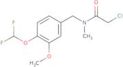 2-Chloro-N-{[4-(difluoromethoxy)-3-methoxyphenyl]methyl}-N-methylacetamide