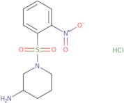 1-(2-Nitro-benzenesulfonyl)-piperidin-3-ylamine